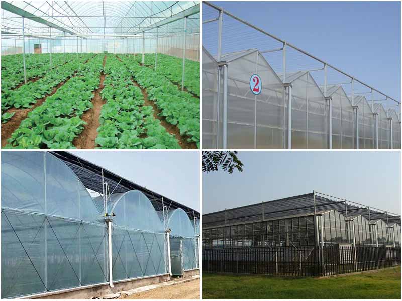 如何让农业蔬菜温室大棚种植后，收益更好呢？